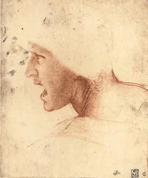 Tête d